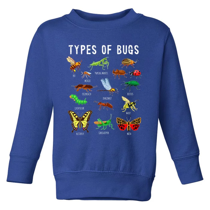 Bug Lover Insect Lover Types Of Bugs Bug Collector Bug Toddler Sweatshirt