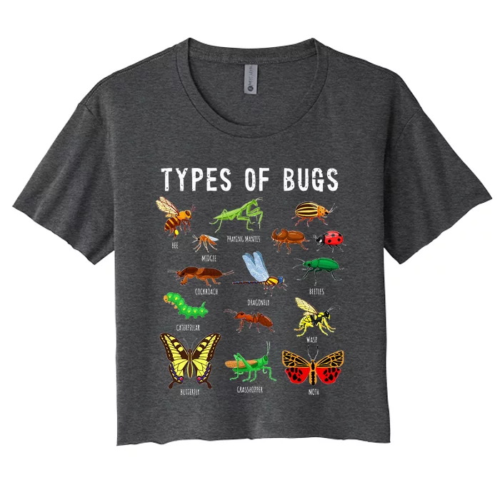 Bug Lover Insect Lover Types Of Bugs Bug Collector Bug Women's Crop Top Tee