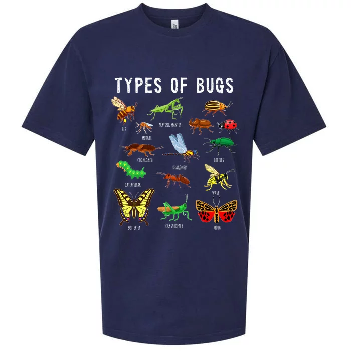 Bug Lover Insect Lover Types Of Bugs Bug Collector Bug Sueded Cloud Jersey T-Shirt