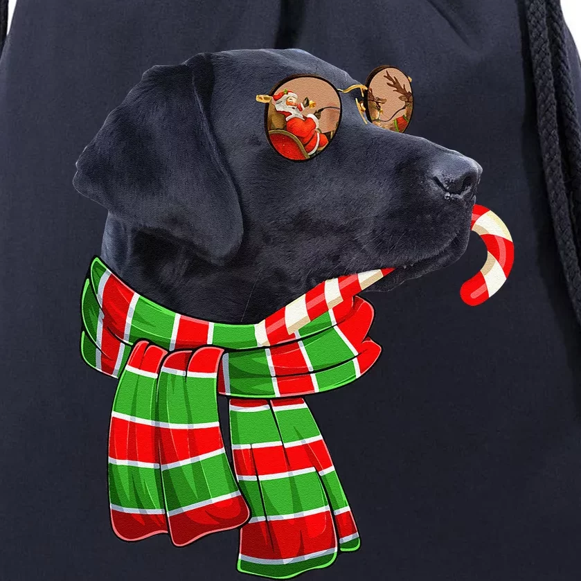 Black Lab Labrador Dog Owners Christmas Xmas Holiday Party Drawstring Bag