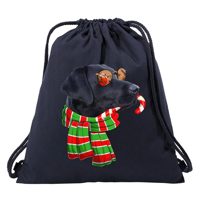 Black Lab Labrador Dog Owners Christmas Xmas Holiday Party Drawstring Bag