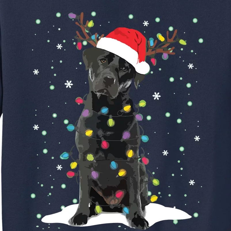 Black Lab Labrador Christmas Tree Light Pajama Dog Xmas Sweatshirt