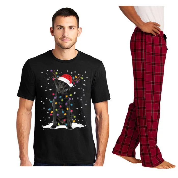 Black Lab Labrador Christmas Tree Light Pajama Dog Xmas Gift Pajama Set