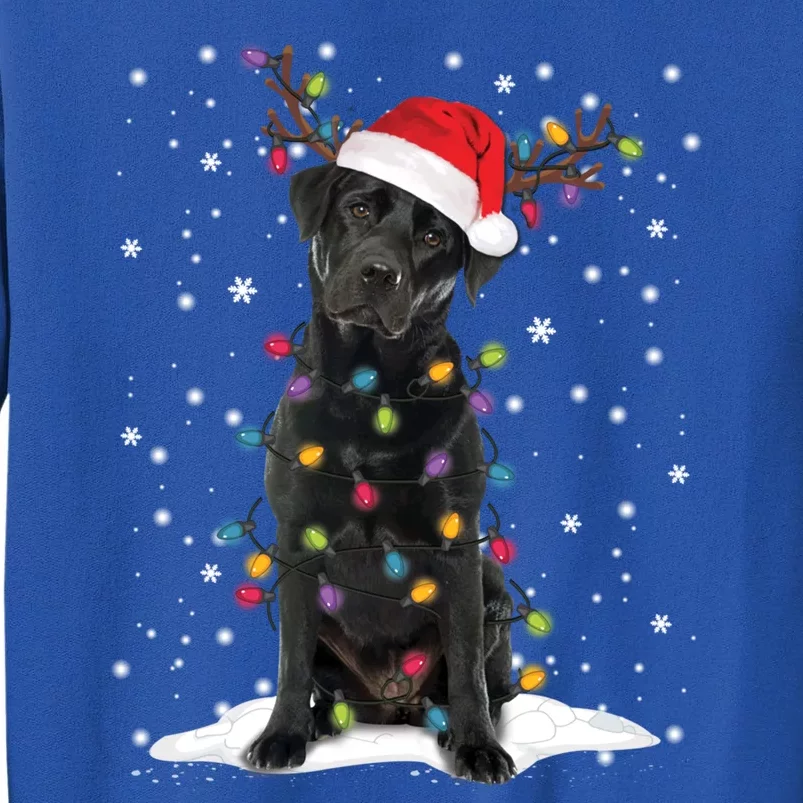 Black Lab Labrador Christmas Tree Light Pajama Dog Xmas Gift Sweatshirt