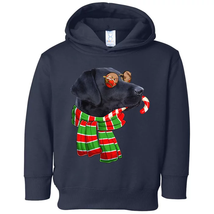 Black Lab Labrador Dog Owners Christmas Xmas Holiday Party Toddler Hoodie