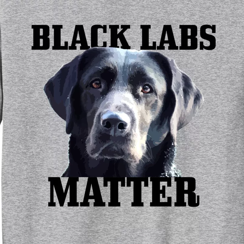 Black Labs Matter Labrador Retriever Mom Dad Dog Lover Funny Gift Sweatshirt