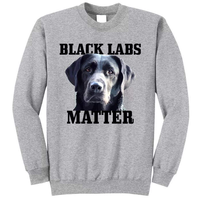 Black Labs Matter Labrador Retriever Mom Dad Dog Lover Funny Gift Sweatshirt