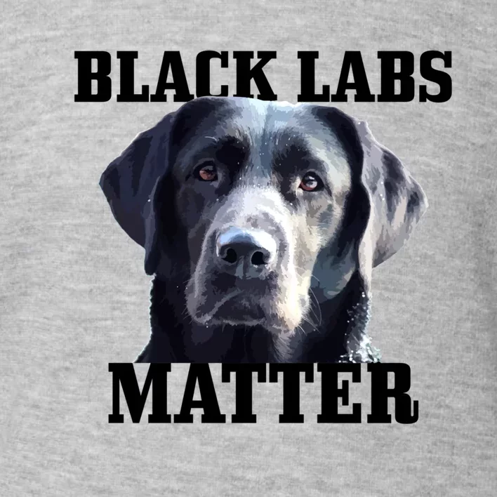 Black Labs Matter Labrador Retriever Mom Dad Dog Lover Funny Gift Toddler Sweatshirt