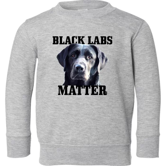 Black Labs Matter Labrador Retriever Mom Dad Dog Lover Funny Gift Toddler Sweatshirt