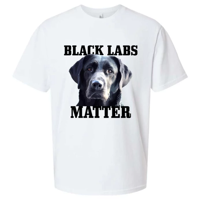 Black Labs Matter Labrador Retriever Mom Dad Dog Lover Funny Gift Sueded Cloud Jersey T-Shirt