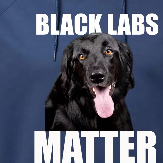 Black Labs Matter Labrador Retriever Mom Dad Dog Lover Funny Gift Performance Fleece Hoodie