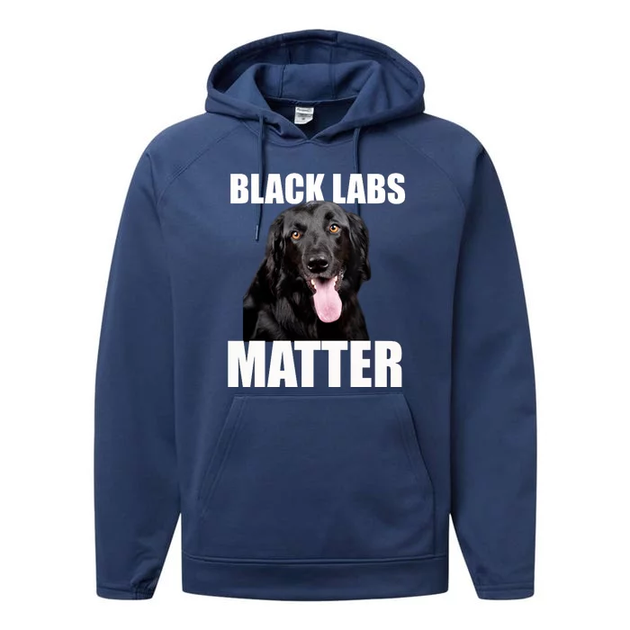 Black Labs Matter Labrador Retriever Mom Dad Dog Lover Funny Gift Performance Fleece Hoodie