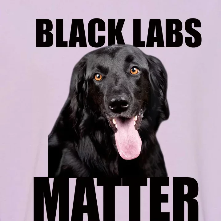 Black Labs Matter Labrador Retriever Mom Dad Dog Lover Funny Gift Garment-Dyed Sweatshirt