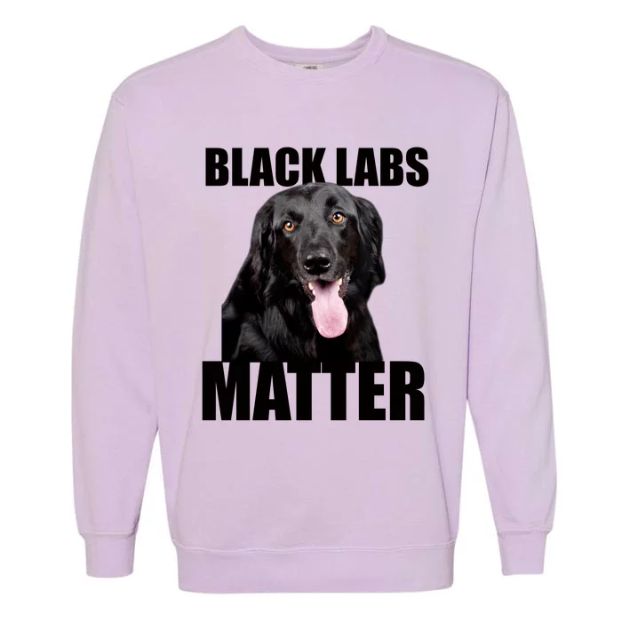 Black Labs Matter Labrador Retriever Mom Dad Dog Lover Funny Gift Garment-Dyed Sweatshirt