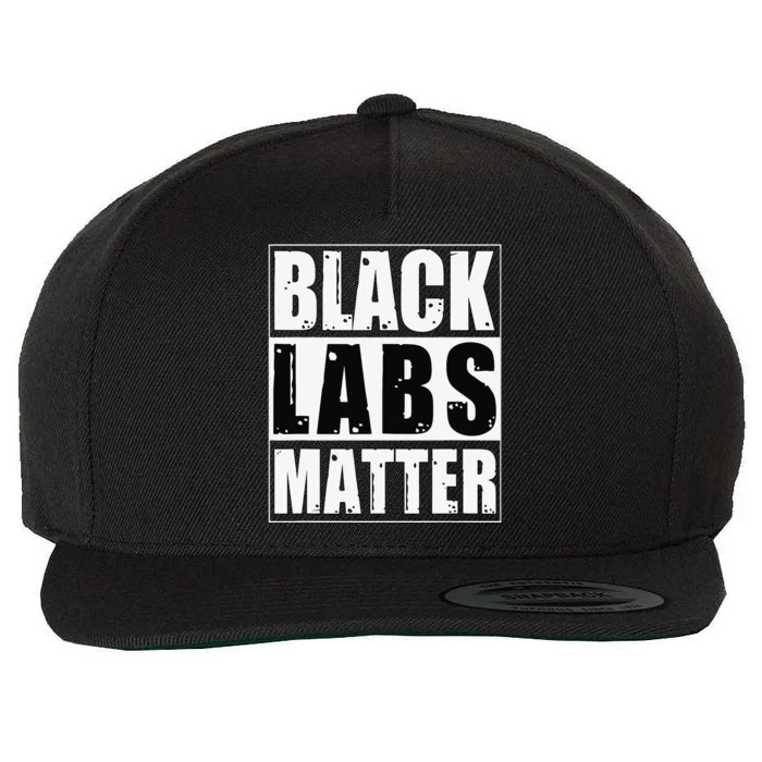 Black Labs Matter Funny Labrador Dog Lover Humor Wool Snapback Cap