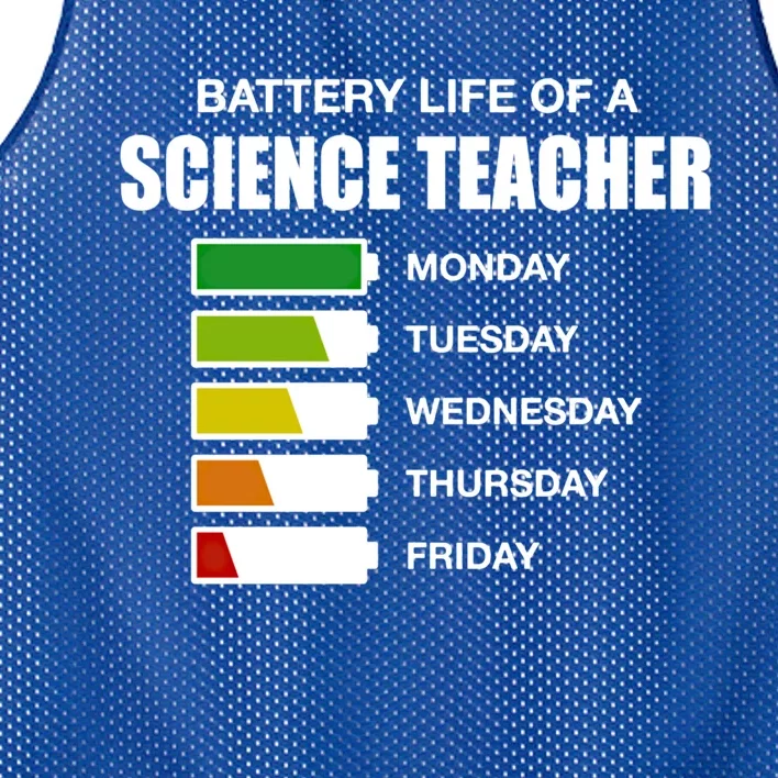 Battery Life Of A Science Teacher Sarcastic Gift Mesh Reversible Basketball Jersey Tank