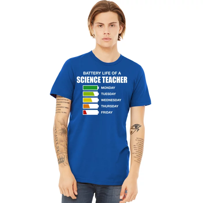 Battery Life Of A Science Teacher Sarcastic Gift Premium T-Shirt