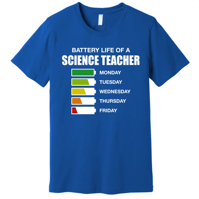 Battery Life Of A Science Teacher Sarcastic Gift Premium T-Shirt