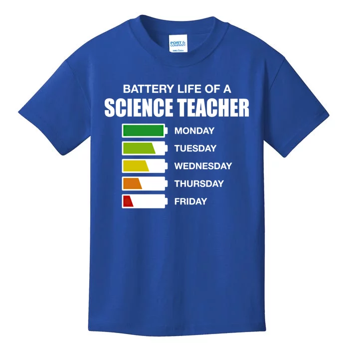 Battery Life Of A Science Teacher Sarcastic Gift Kids T-Shirt