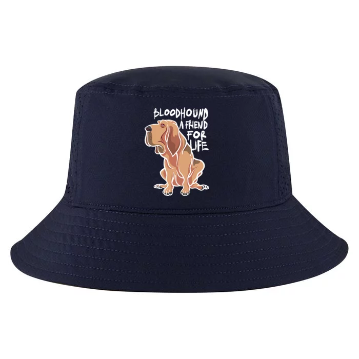 Bloodhound A Friend For Life Cool Comfort Performance Bucket Hat