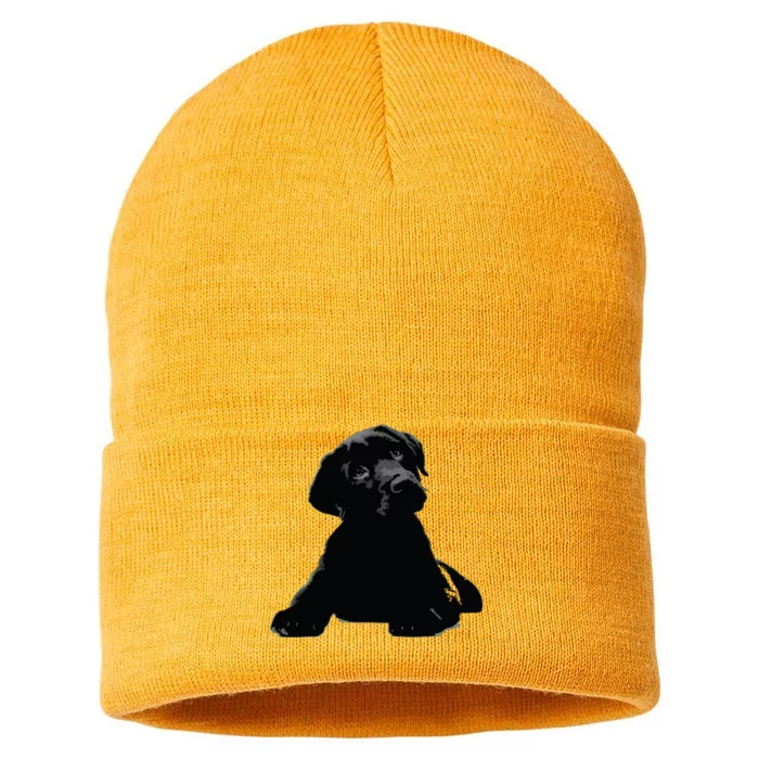 Black Lab Puppy Dog Graphic Tees Men Dog Mom Sustainable Knit Beanie