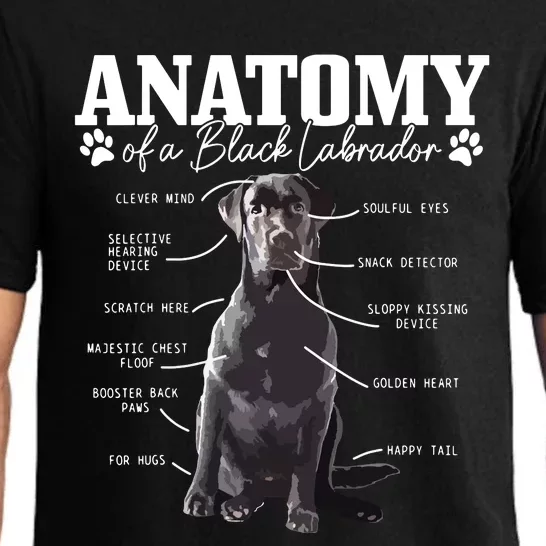 Black Labrador Retriever Anatomy Funny Cute Dog Mom Dad Pajama Set