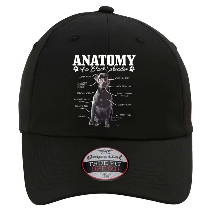 Black Labrador Retriever Anatomy Funny Cute Dog Mom Dad The Original Performance Cap