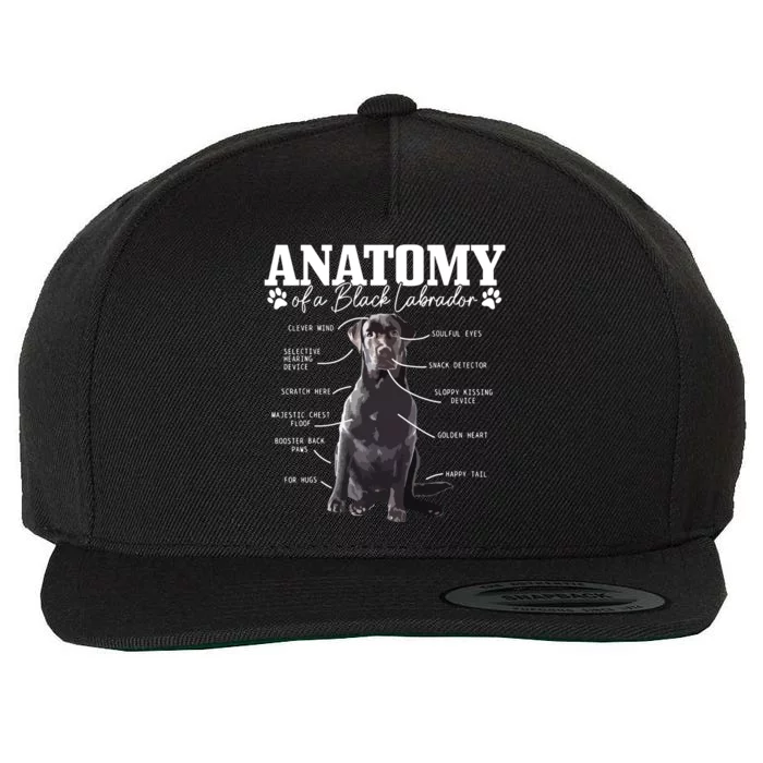 Black Labrador Retriever Anatomy Funny Cute Dog Mom Dad Wool Snapback Cap