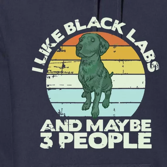 Black Labrador T Dog Lover Tee Black Lab Premium Hoodie