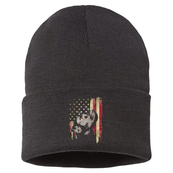 Black Labrador USA Flag Lab Owner Duck Hunter Sustainable Knit Beanie