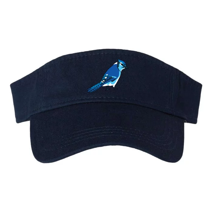 Blue Jay Bird Valucap Bio-Washed Visor