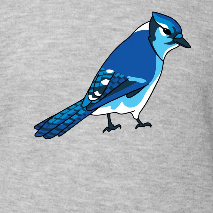 Blue Jay Bird Toddler Sweatshirt