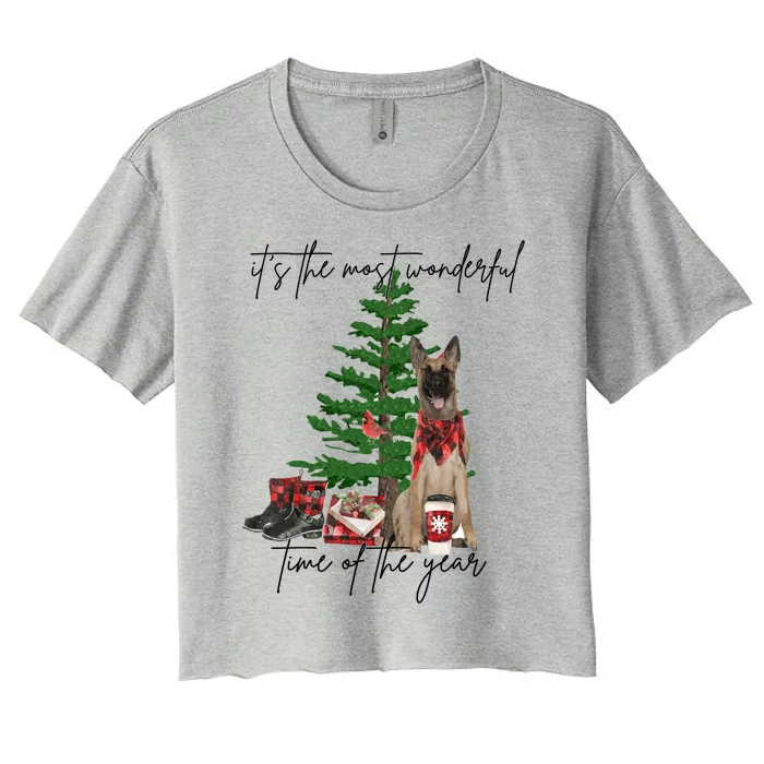 Belgian Malinois Christmas Tree Most Wonderful Time Of Year Cute Gift Women's Crop Top Tee