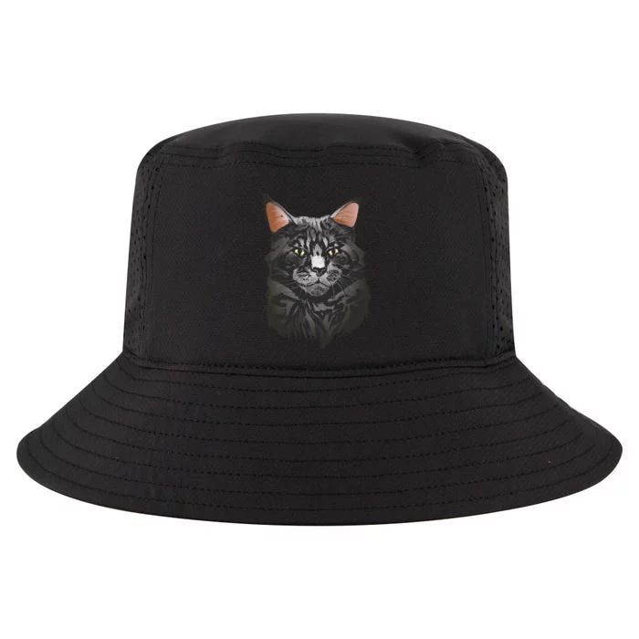 British Maine Coon Cat Portrait Cool Comfort Performance Bucket Hat