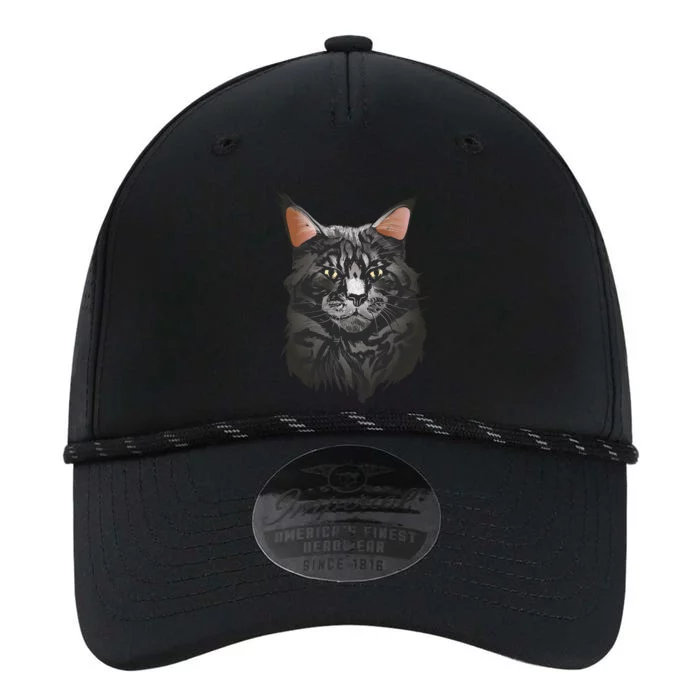 British Maine Coon Cat Portrait Performance The Dyno Cap