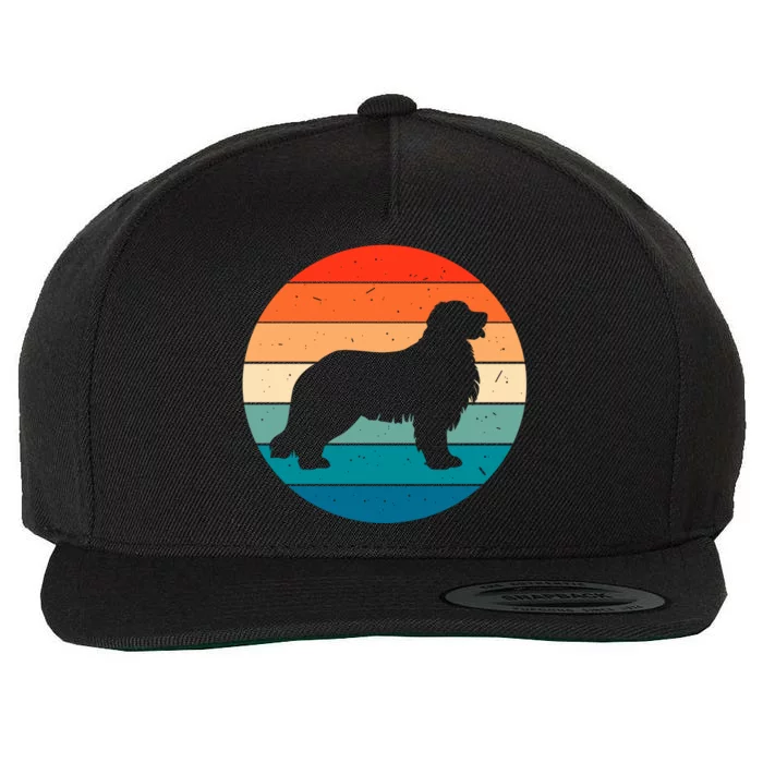 Bernese Mountain Dog Retro Vintage Wool Snapback Cap