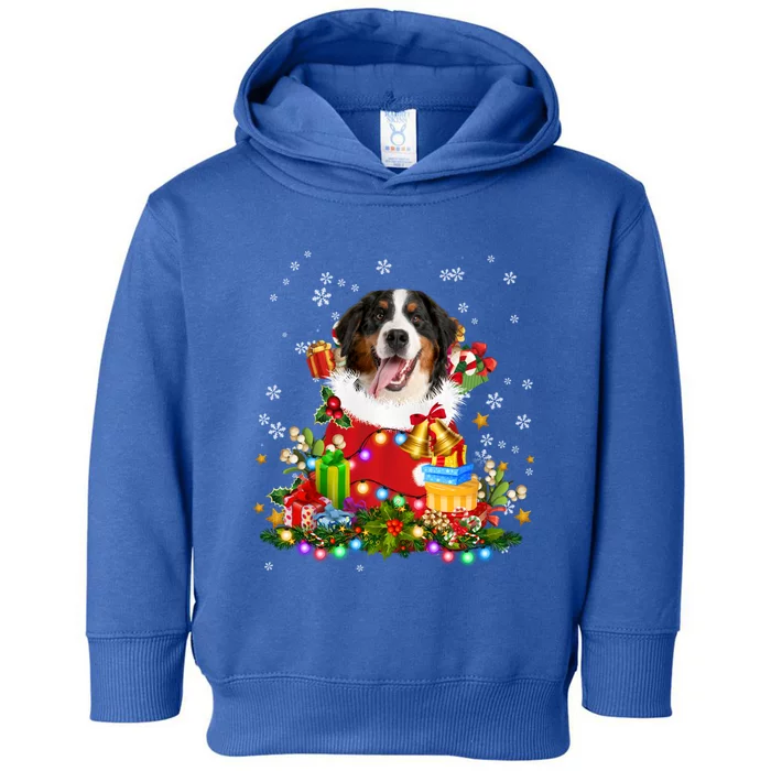 Bernese Mountain Dog Christmas Tree Lights Pajamas Xmas Gift Toddler Hoodie