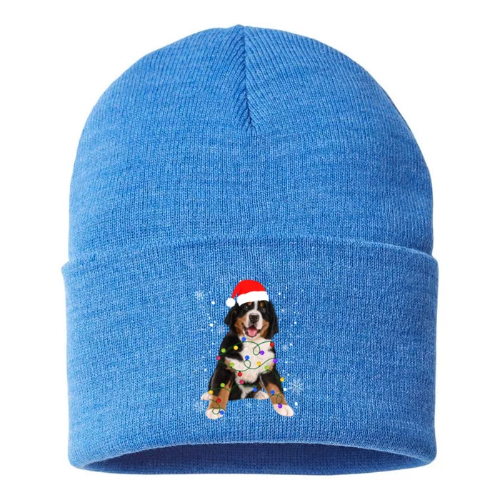 Bernese Mountain Dog Lights Christmas Matching Family Funny Gift Sustainable Knit Beanie