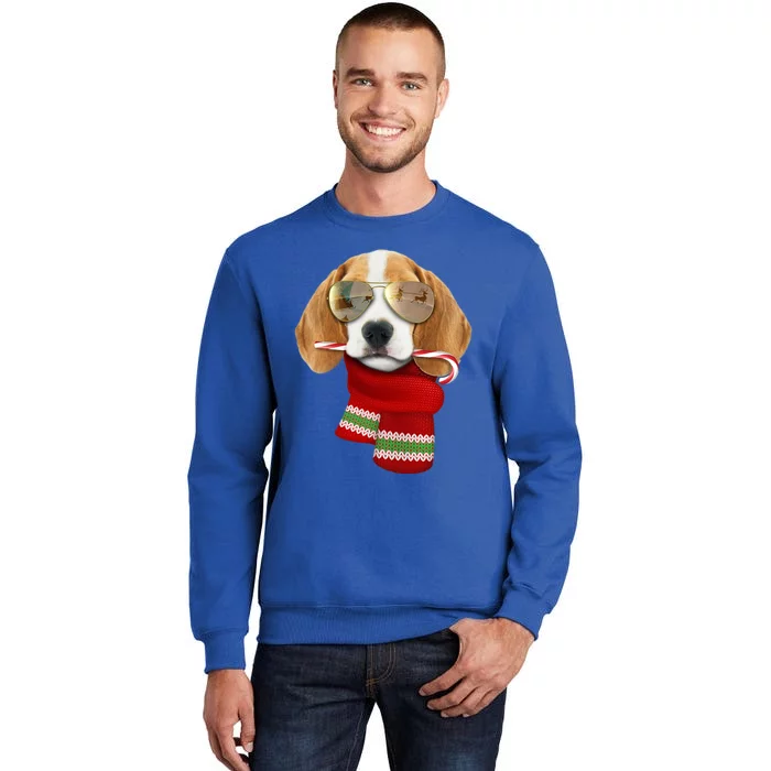 Beagle Meaningful Gift Christmas Gift For Dog Lovers Puppy Sunglasses Great Gift Sweatshirt