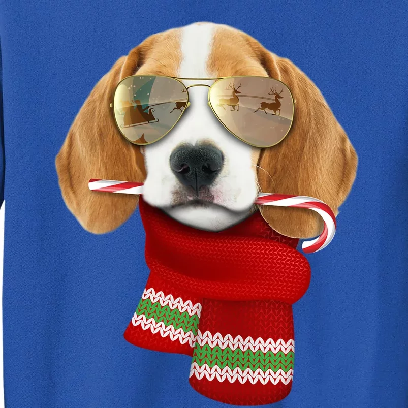 Beagle Meaningful Gift Christmas Gift For Dog Lovers Puppy Sunglasses Great Gift Sweatshirt