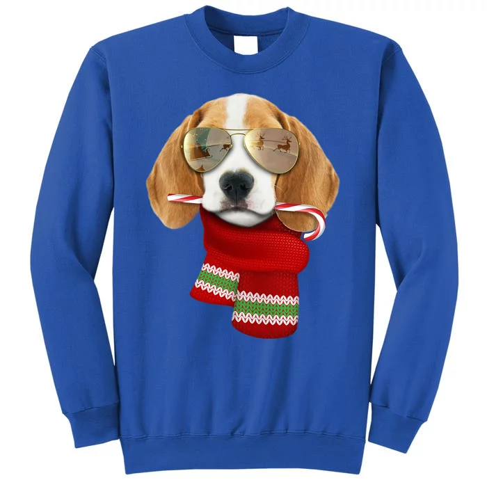 Beagle Meaningful Gift Christmas Gift For Dog Lovers Puppy Sunglasses Great Gift Sweatshirt