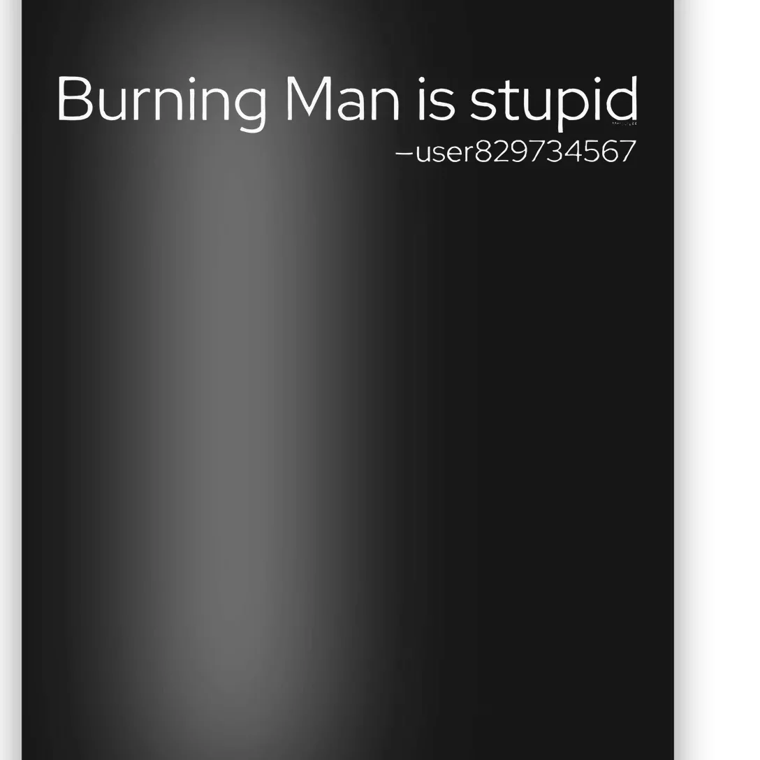 Burning Man Is Stupid Rave Edm Techno Music Festival House Poster