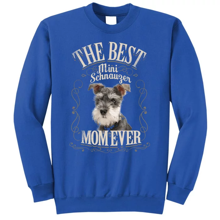 Best Mini Schnauzer Mom Ever Miniature Schnauzer Dog Funny Gift Sweatshirt