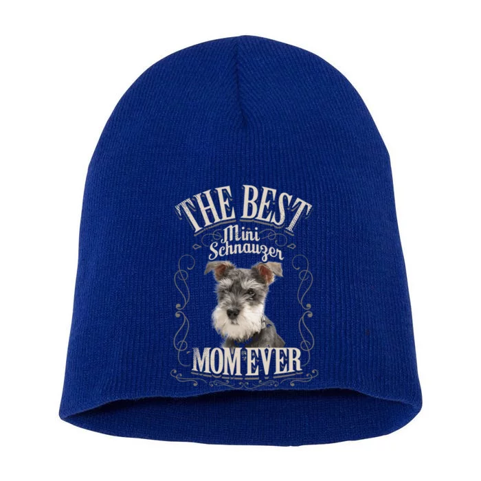 Best Mini Schnauzer Mom Ever Miniature Schnauzer Dog Funny Gift Short Acrylic Beanie