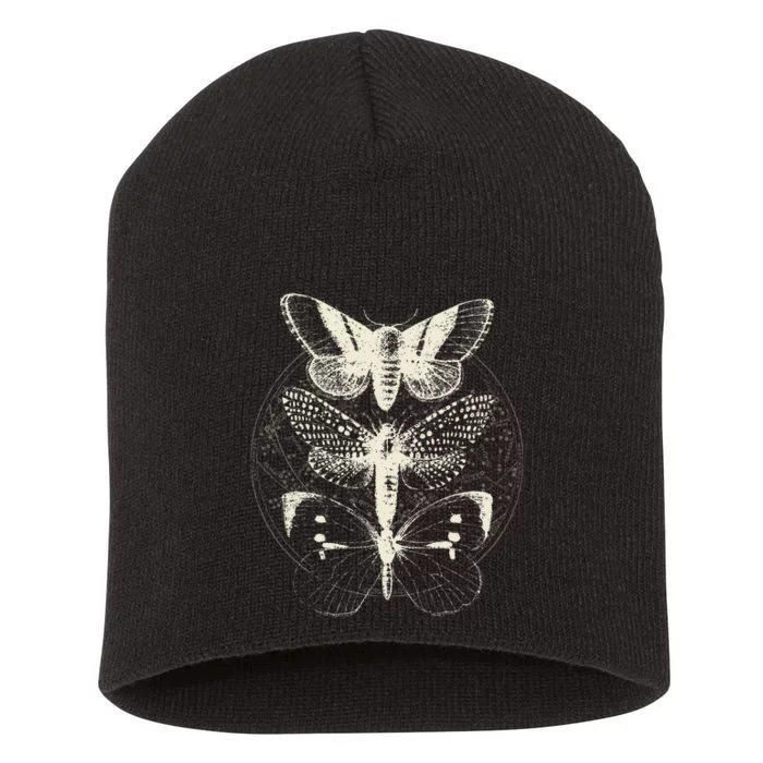 Butterfly Moth Witchcore Insect Astronomy Lover Witchy Short Acrylic Beanie