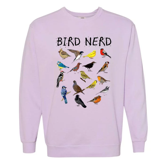 Bird Nerd Garment-Dyed Sweatshirt