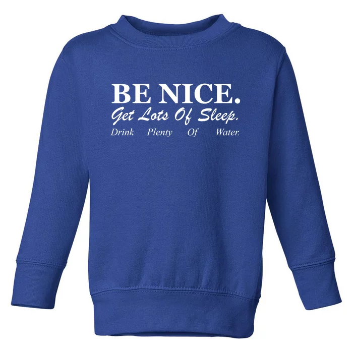 Be Nice Get Lots Of Sleep Drink Plenty Of Water Toddler Sweatshirt