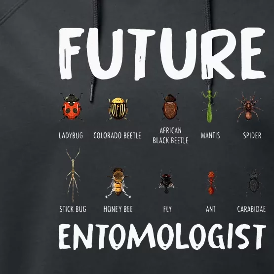 Biology Nerd Insect Collector Future Entomologist Beetle Bug Performance Fleece Hoodie