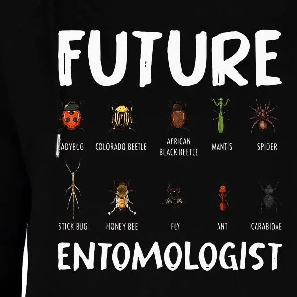 Biology Nerd Insect Collector Future Entomologist Beetle Bug Womens Funnel Neck Pullover Hood