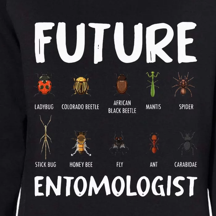 Biology Nerd Insect Collector Future Entomologist Beetle Bug Womens California Wash Sweatshirt